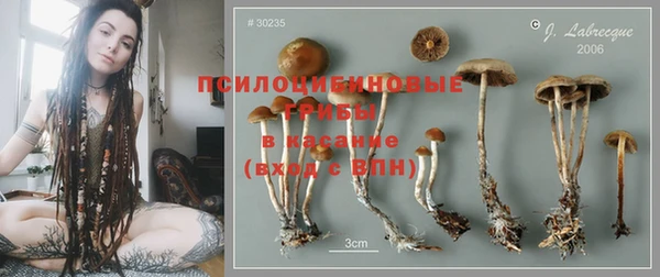 a pvp Богданович