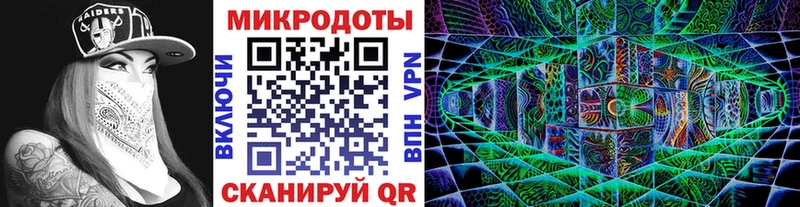 Псилоцибиновые грибы Psilocybe Межгорье